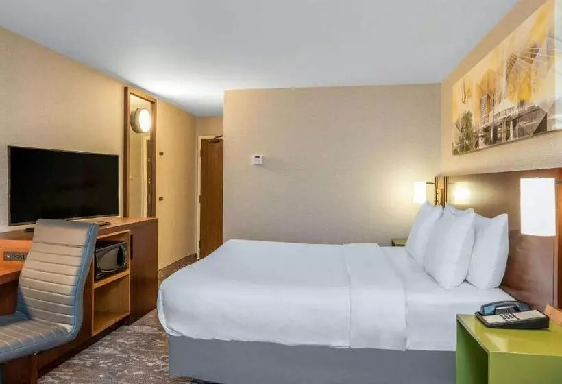 اتاق استاندارد با تخت بزرگ, Comfort Inn Airport
