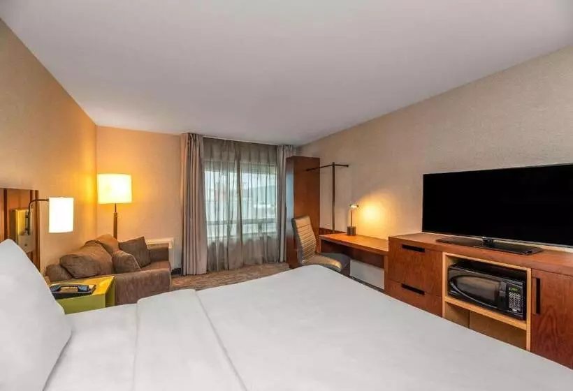 اتاق استاندارد با تخت بزرگ, Comfort Inn Airport