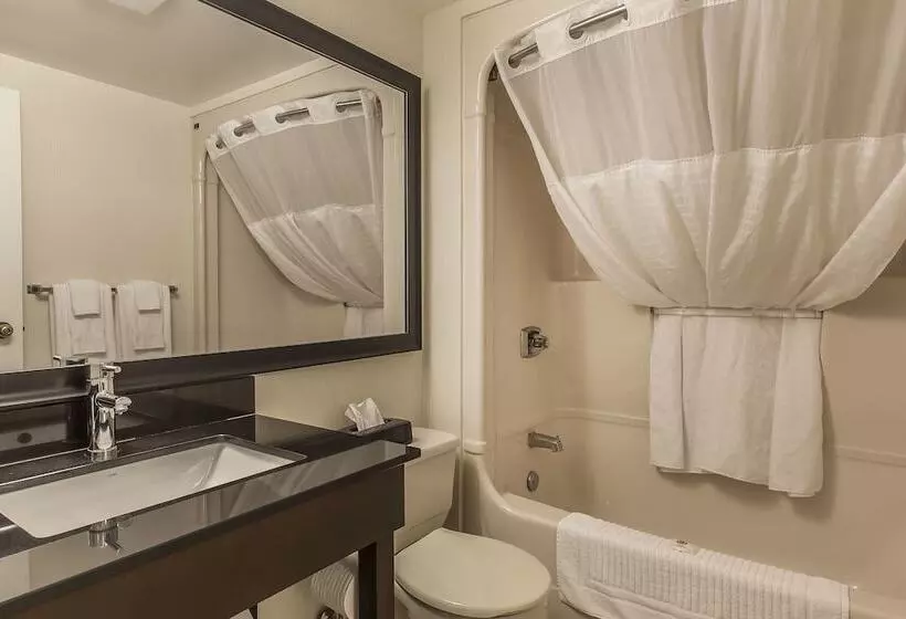 اتاق راحتی, Comfort Inn East