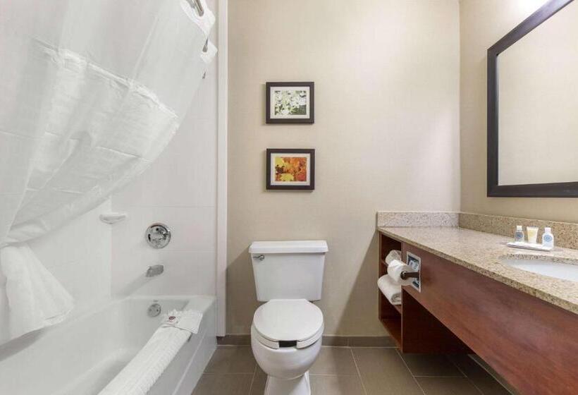 غرفة قياسية سرير كينج, Comfort Inn