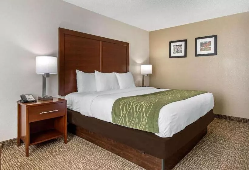 キングサイズベッドのスタンダードルーム, Comfort Inn