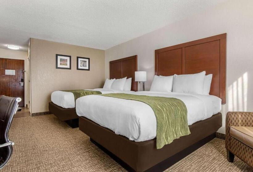 غرفة قياسية, Comfort Inn