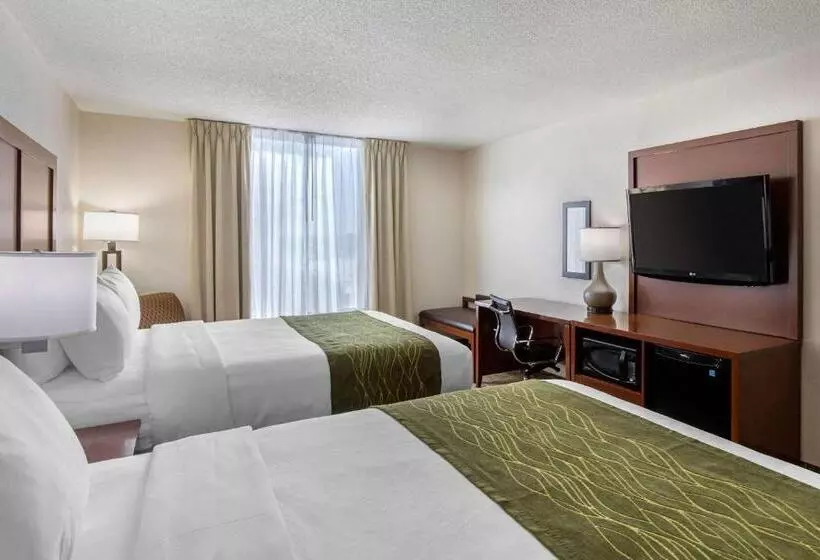 スタンダードルーム, Comfort Inn