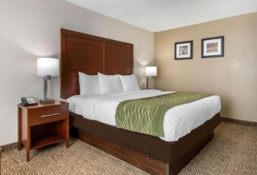 غرفة قياسية سرير كينج لذوى الإحتياجات الخاصة, Comfort Inn