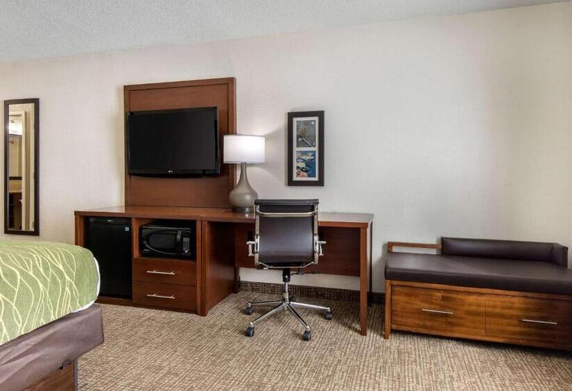 غرفة قياسية سرير كينج لذوى الإحتياجات الخاصة, Comfort Inn