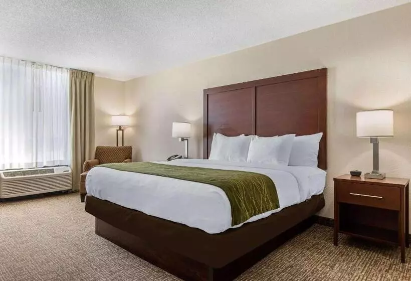 身障者適用キングサイズベッドルーム, Comfort Inn