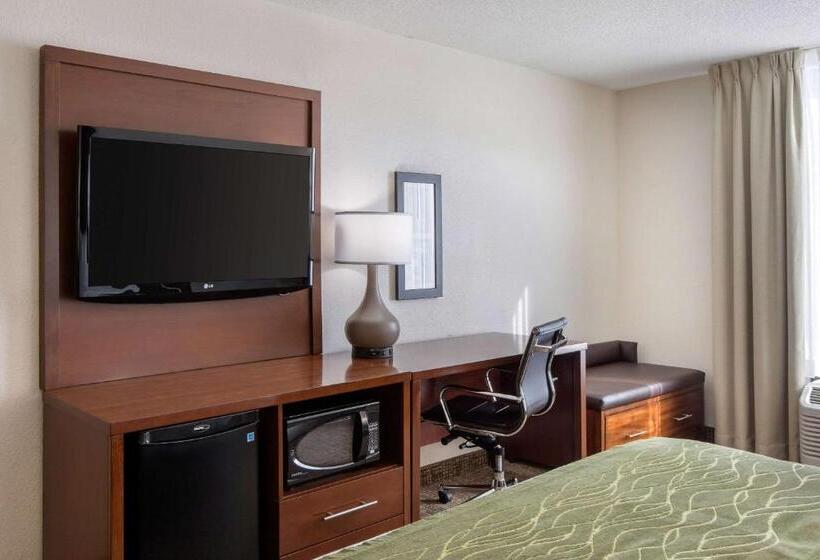 غرفة قياسية سرير كينج لذوى الإحتياجات الخاصة, Comfort Inn