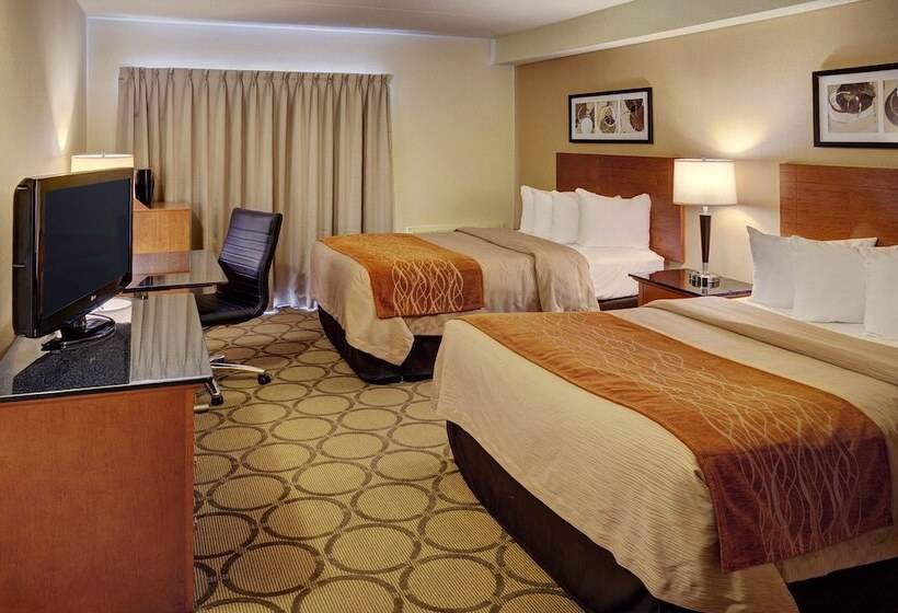 غرفه قياسيه سريرين مزدوجين, Comfort Inn