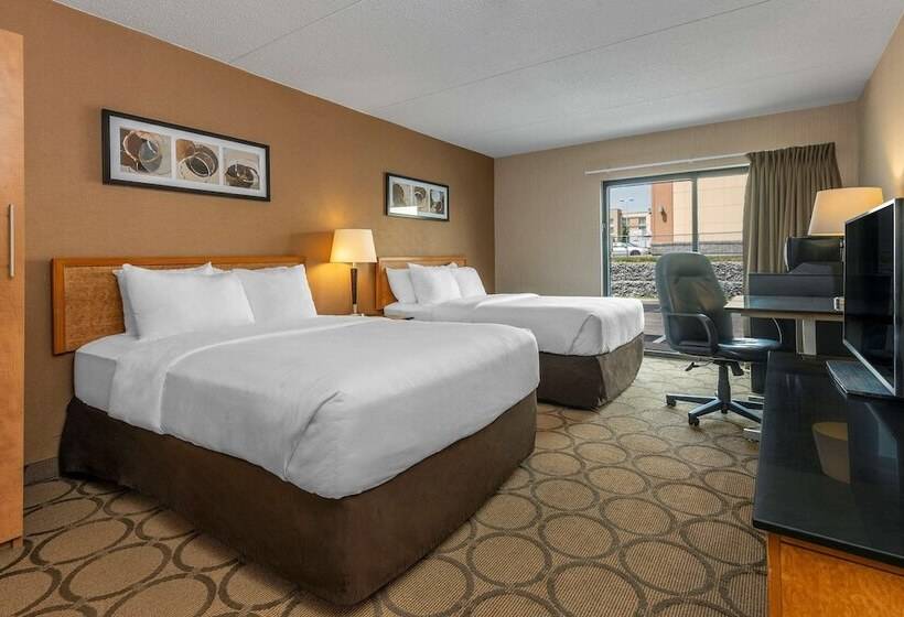 غرفه قياسيه سريرين مزدوجين, Comfort Inn