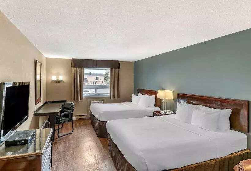 اتاق استاندارد با 2 تخت دوبل, Econo Lodge