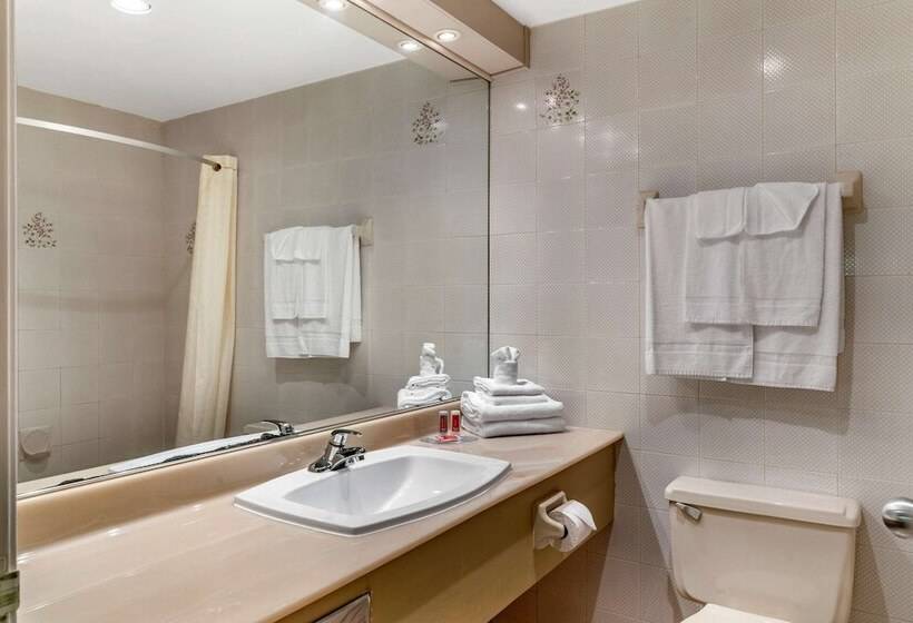 带2个双人床的标准工作室, Econo Lodge