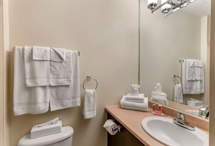 带2个双人床的标准工作室, Econo Lodge