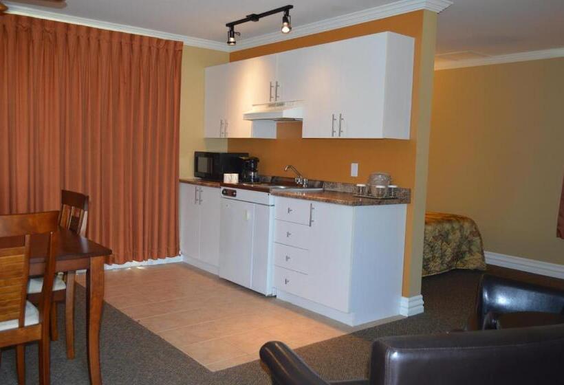 스탠다드 스튜디오 바다 전망, Hôtel Maison Blanche