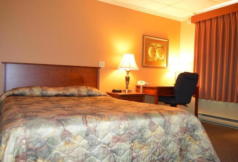 스탠다드 룸 바다 전망, Hôtel Maison Blanche