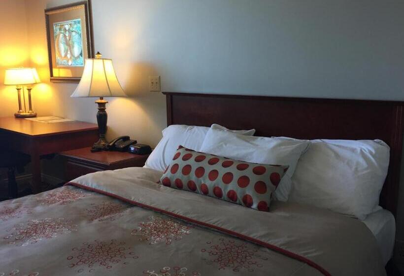 스탠다드 룸 바다 전망, Hôtel Maison Blanche