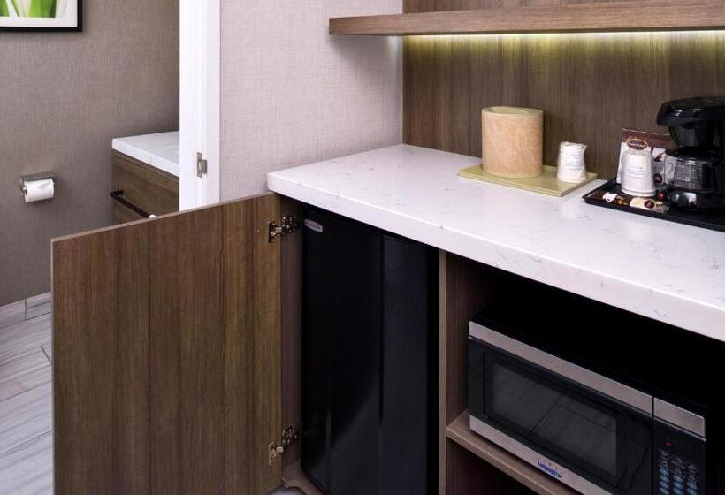 غرفة قياسية سرير كينج لذوى الإحتياجات الخاصة, Modesto