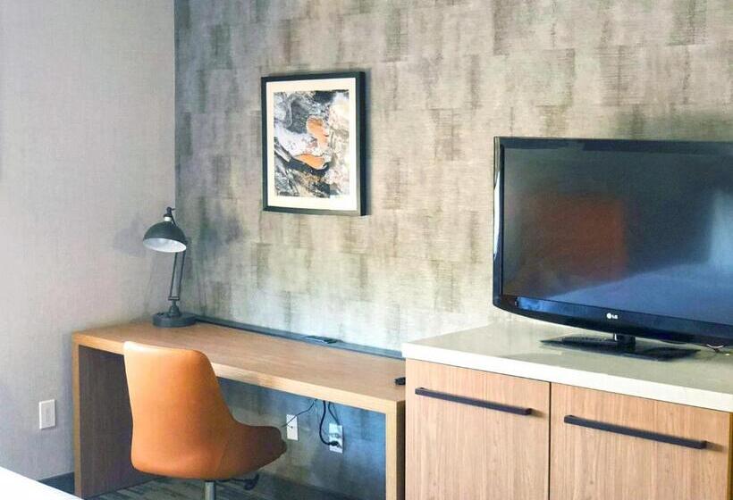 غرفة قياسية سرير كينج لذوى الإحتياجات الخاصة, Modesto