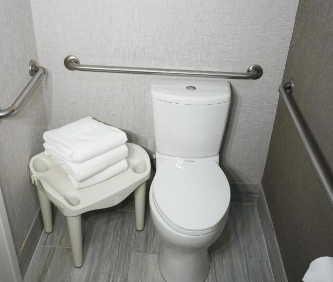 غرفة قياسية سرير كينج لذوى الإحتياجات الخاصة, Modesto