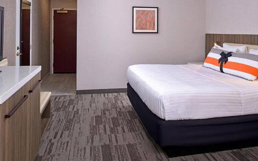 غرفة قياسية سرير كينج لذوى الإحتياجات الخاصة, Modesto