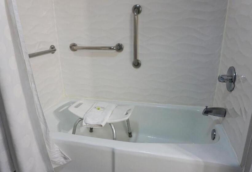 غرفة قياسية سرير كينج لذوى الإحتياجات الخاصة, Modesto