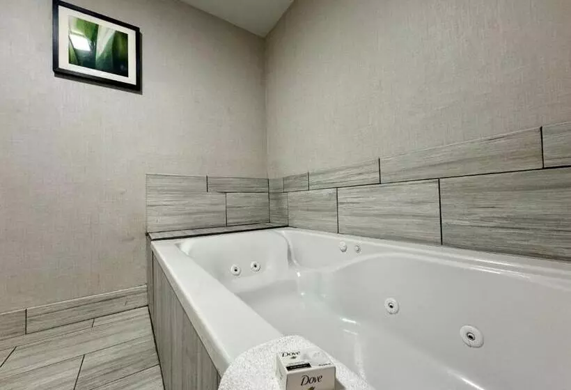 اتاق استاندارد با تخت بزرگ, Modesto