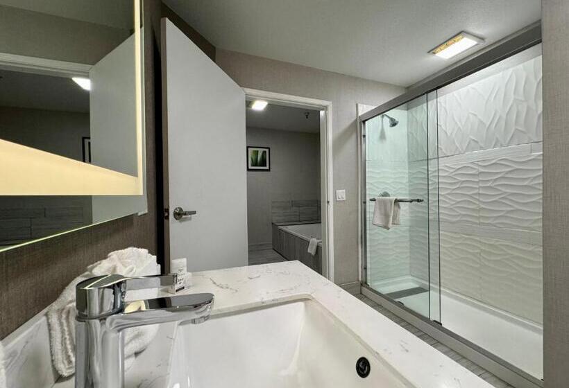 غرفة قياسية سرير كينج, Modesto