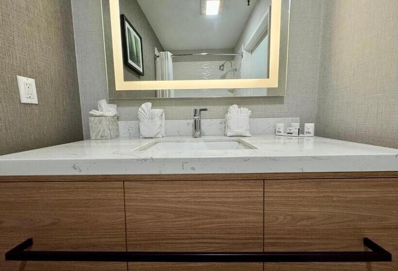 غرفة قياسية سرير كينج, Modesto