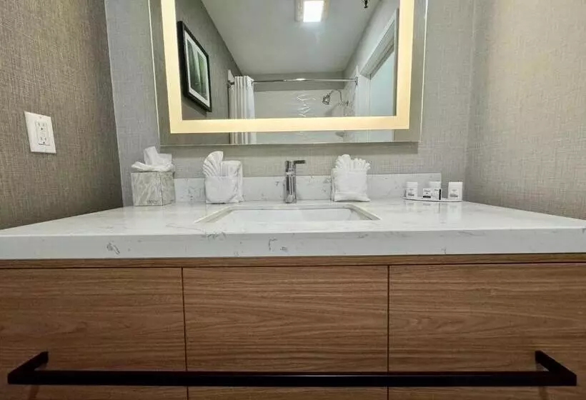 اتاق استاندارد با تخت بزرگ, Modesto