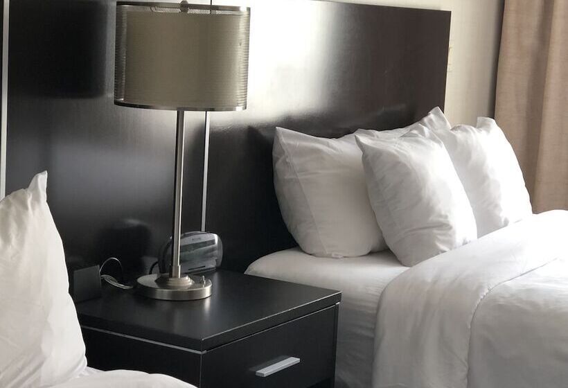 חדר סטנדרט שתי מיטות זוגיות, Quality