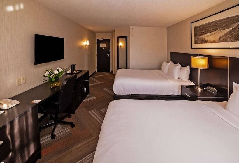 חדר סטנדרט שתי מיטות זוגיות, Quality