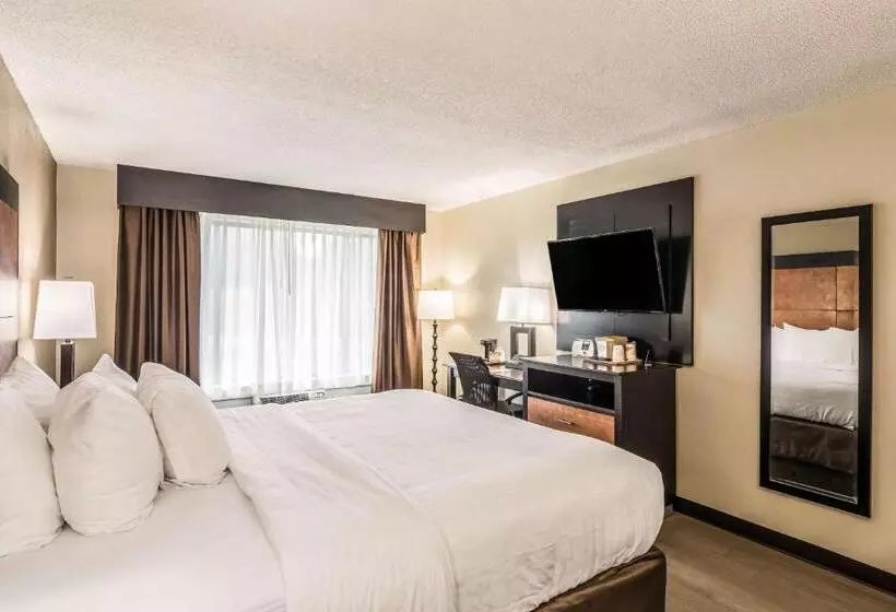キングサイズベッドのスタンダードルーム, Quality Inn Pensacola North