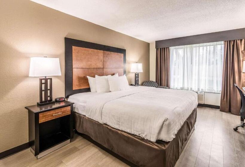 キングサイズベッドのスタンダードルーム, Quality Inn