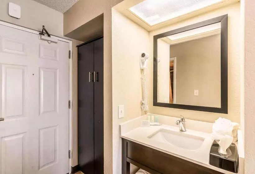 身障者適用キングサイズベッドルーム, Quality Inn Pensacola North