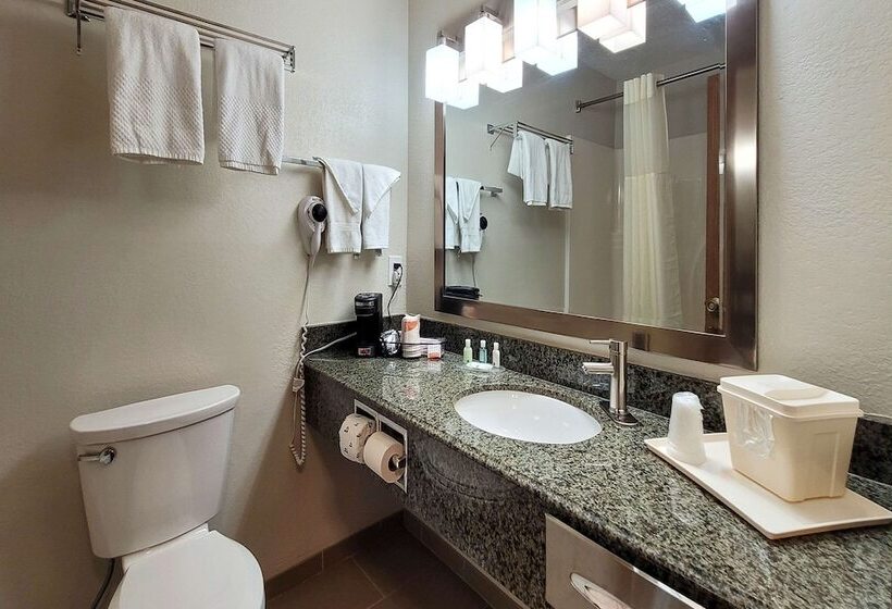 غرفه قياسيه سريرين مزدوجين, Quality Inn & Suites