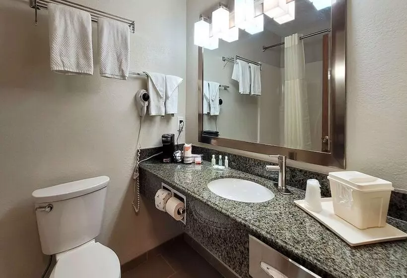اتاق استاندارد با 2 تخت دوبل, Quality Inn & Suites