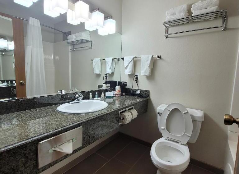 Номер Стандарт 2 Двуспальные Кровати, Quality Inn & Suites