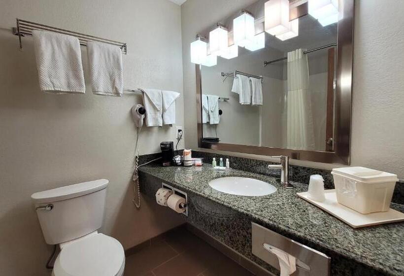 غرفه قياسيه سريرين مزدوجين, Quality Inn & Suites