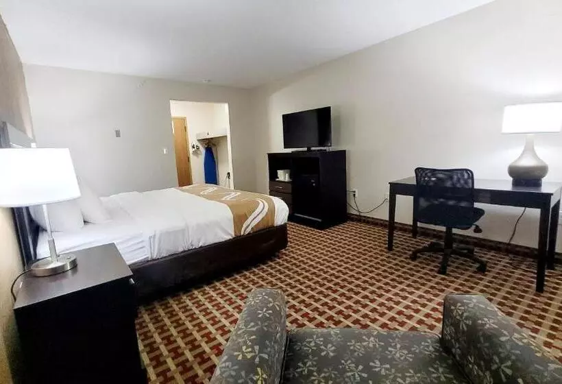 اتاق استاندارد با تخت بزرگ, Quality Inn & Suites