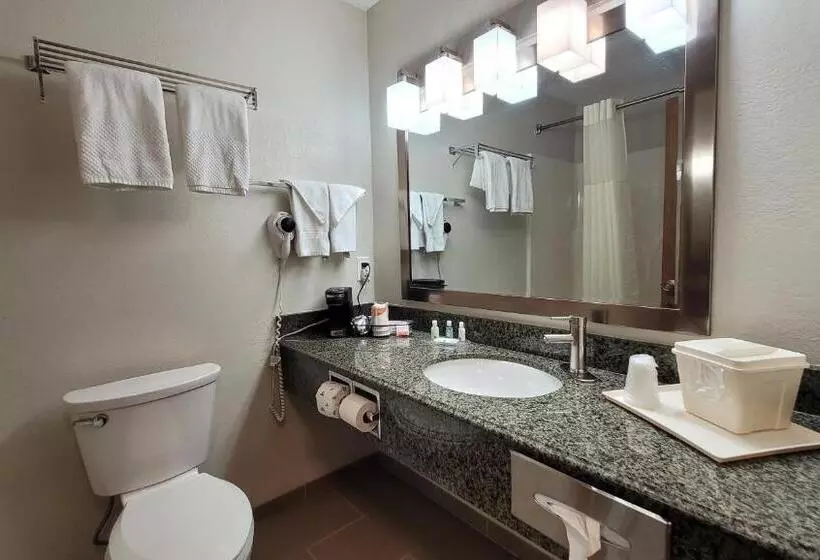 اتاق استاندارد با تخت بزرگ, Quality Inn & Suites