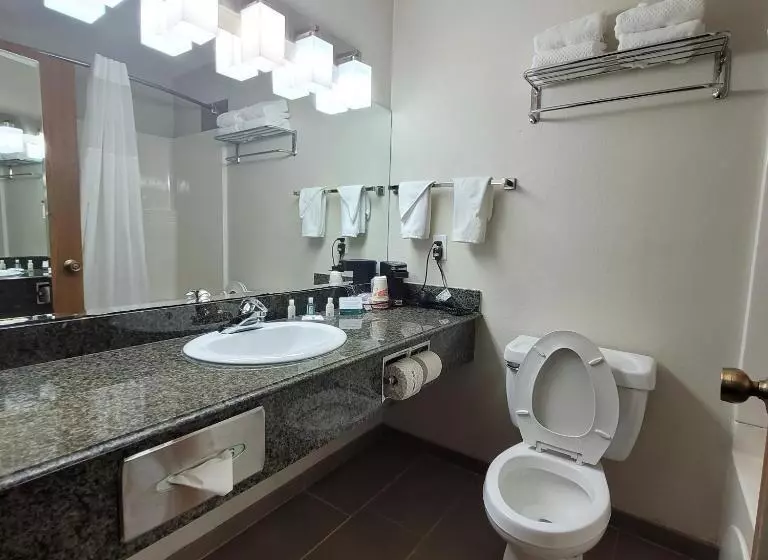 سوئیت با تخت بزرگ, Quality Inn & Suites