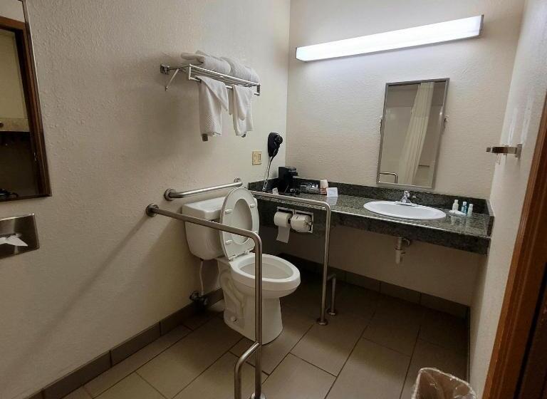 غرفة قياسية سرير كينج لذوى الإحتياجات الخاصة, Quality Inn & Suites