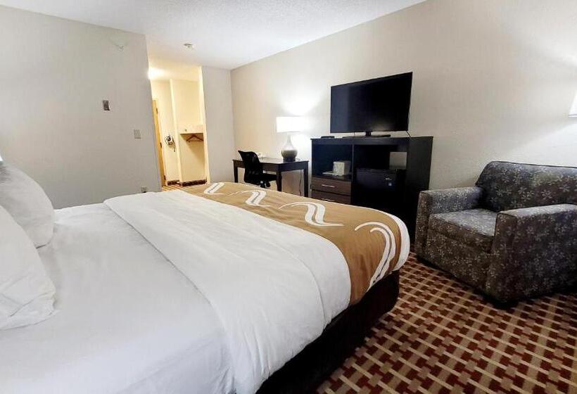 غرفة قياسية سرير كينج لذوى الإحتياجات الخاصة, Quality Inn & Suites