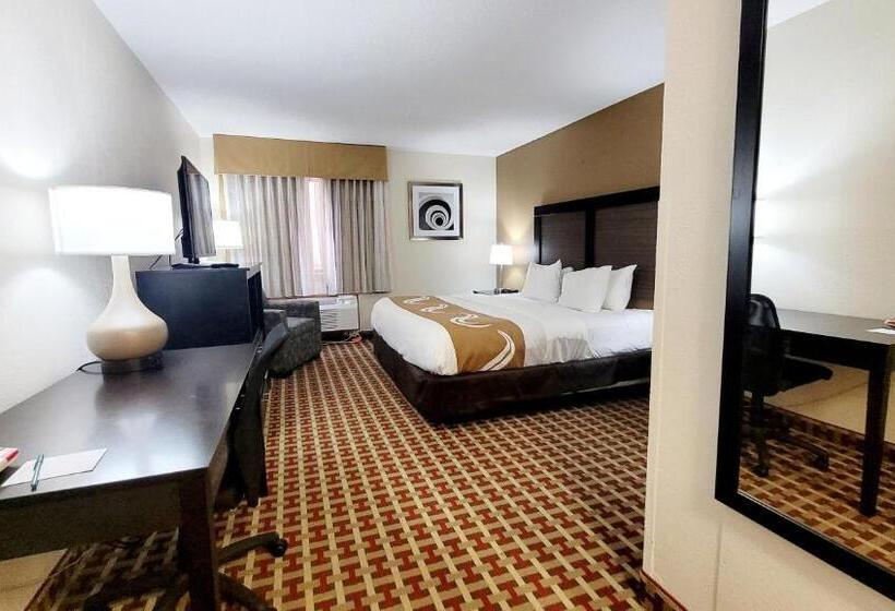 غرفة قياسية سرير كينج لذوى الإحتياجات الخاصة, Quality Inn & Suites
