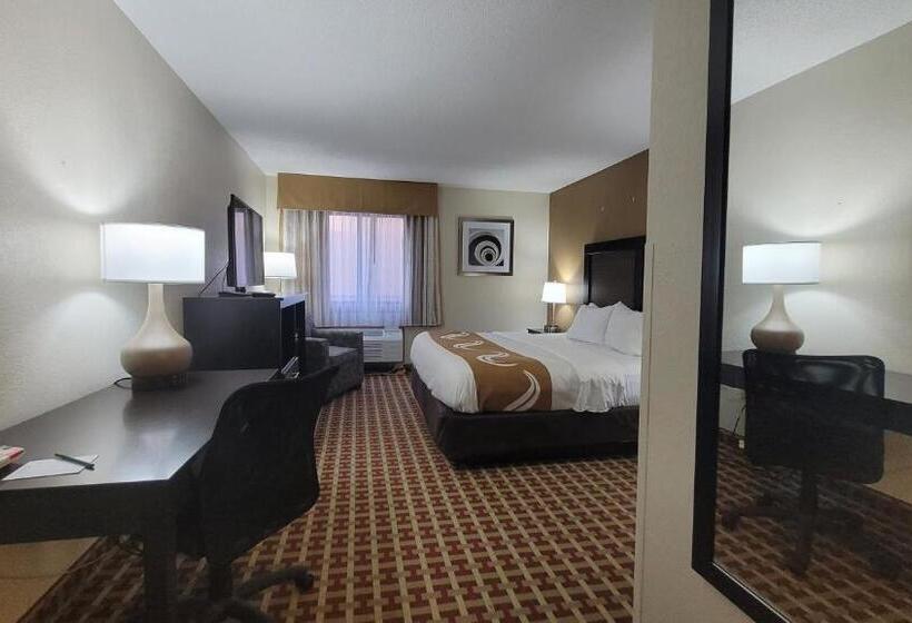 Номер Стандарт Кровать Кинг Адаптированный для Инвалидов, Quality Inn & Suites