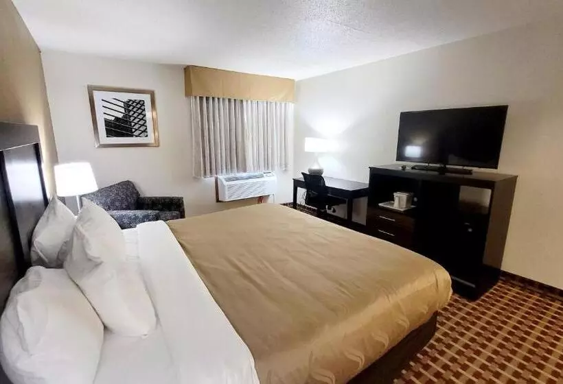 اتاق استاندارد با تخت بزرگ برای معلولان, Quality Inn & Suites