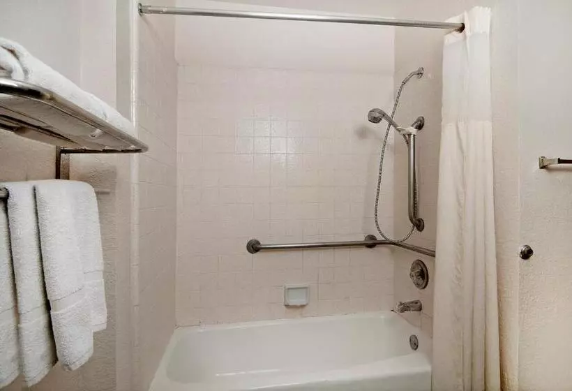 اتاق استاندارد برای معلولان, Quality Inn & Suites South San Jose / Morgan Hill