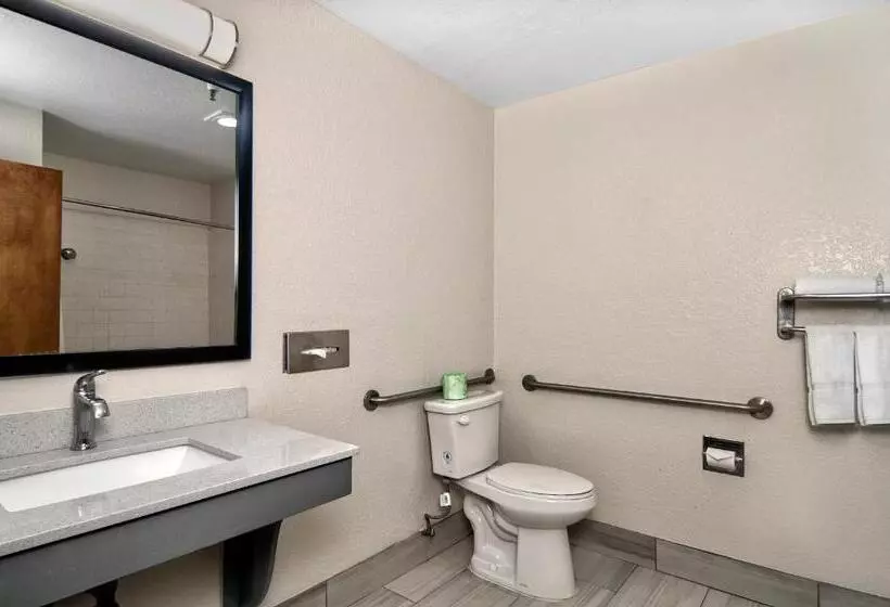 اتاق استاندارد برای معلولان, Quality Inn & Suites South San Jose / Morgan Hill