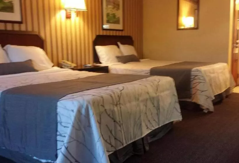 スタンダードルーム, Deerwood Inn And Madison Campground