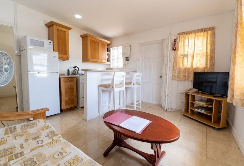 آپارتمان 1 خوابه, Adulo Apartments