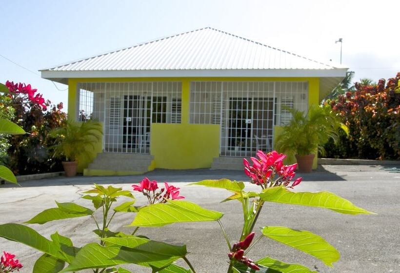 استودیوی استاندارد, Adulo Apartments